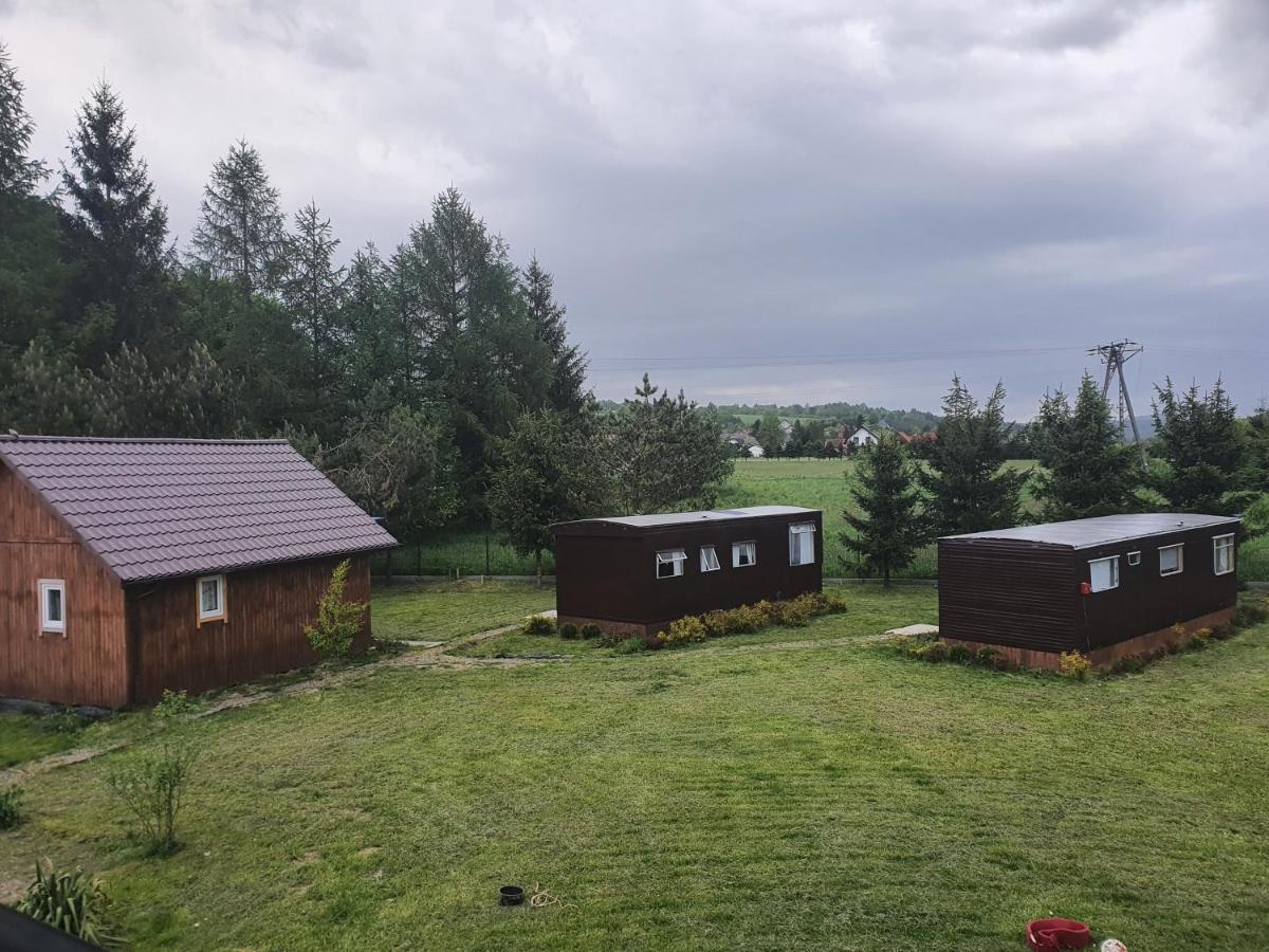 Villa Domki Bieszczady Uherce Mineralne Exterior foto
