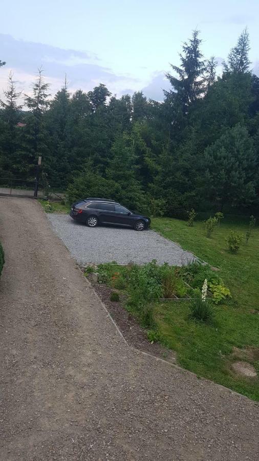 Villa Domki Bieszczady Uherce Mineralne Exterior foto